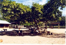 Enlarge photo 17