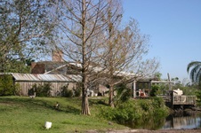 Enlarge photo 230