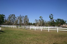 Enlarge photo 232