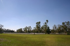 Enlarge photo 233