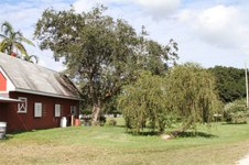 Enlarge photo 164