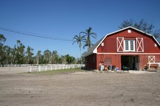 Enlarge photo 221