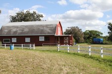 Enlarge photo 166