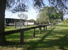 Enlarge photo 237