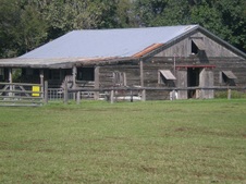 Enlarge photo 246