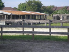 Enlarge photo 247