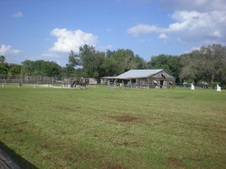 Enlarge photo 249