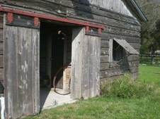 Enlarge photo 251