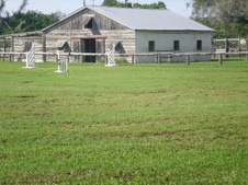 Enlarge photo 252