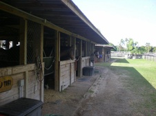 Enlarge photo 239