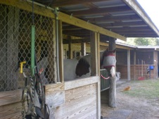 Enlarge photo 240