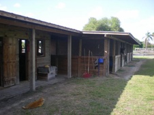 Enlarge photo 241