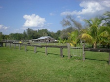 Enlarge photo 242