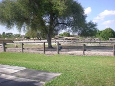 Enlarge photo 243