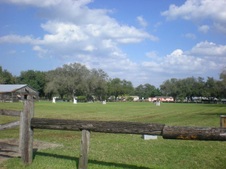 Enlarge photo 244