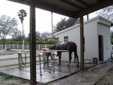 Enlarge photo 31