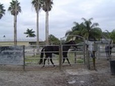 Enlarge photo 32