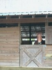 Enlarge photo 49