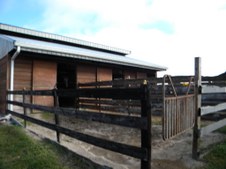 Enlarge photo 180