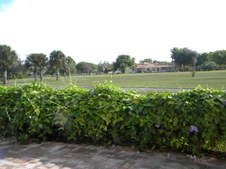 Enlarge photo 185