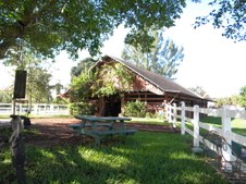 Enlarge photo 186
