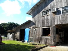 Enlarge photo 193