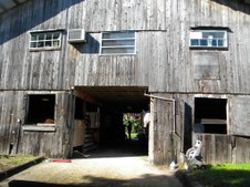 Enlarge photo 194