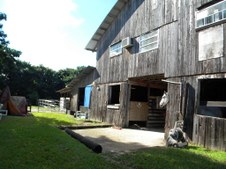 Enlarge photo 199