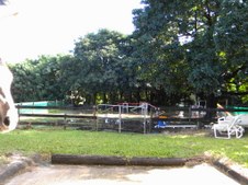 Enlarge photo 201