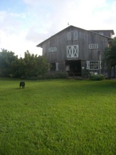 Enlarge photo 254