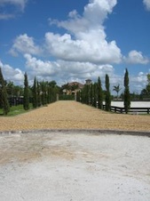 Enlarge photo 363