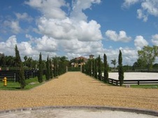 Enlarge photo 361