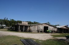 Enlarge photo 89