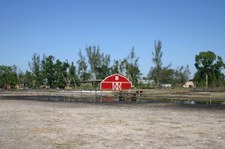 Enlarge photo 95