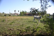 Enlarge photo 98