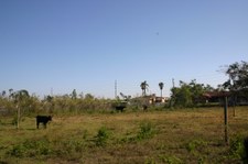 Enlarge photo 99