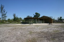 Enlarge photo 115