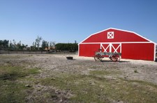 Enlarge photo 110