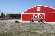 Enlarge photo 118