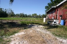 Enlarge photo 78