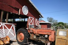 Enlarge photo 82