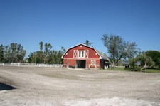 Enlarge photo 83