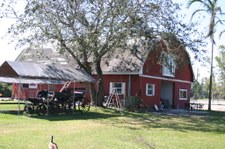 Enlarge photo 120