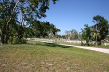 Enlarge photo 121
