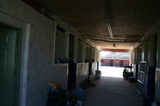 Enlarge photo 66