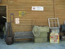 Enlarge photo 129
