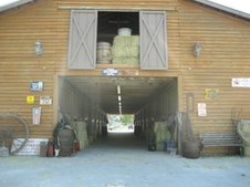 Enlarge photo 132