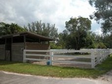 Enlarge photo 56