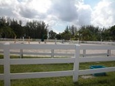 Enlarge photo 57