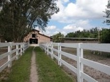Enlarge photo 59
